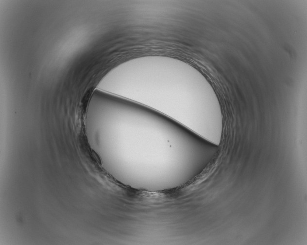 X0000112170429200908071003