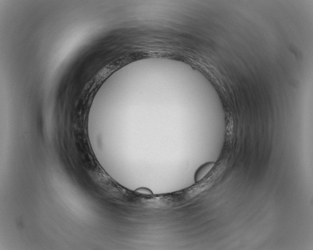 X0000112170430200908071003