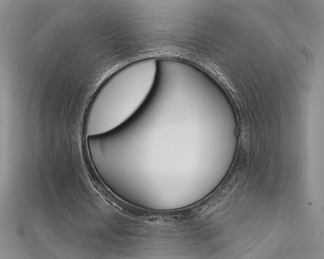 X0000112170434200908071002