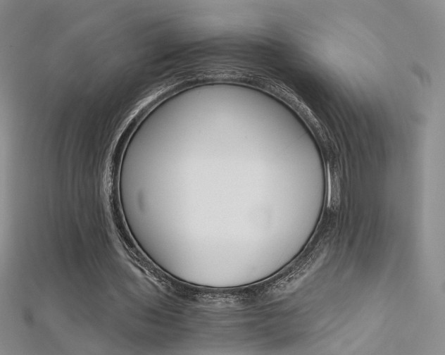 X0000112170435200908071002