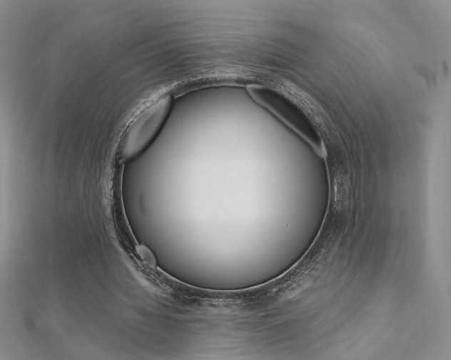 X0000112170436200908071002