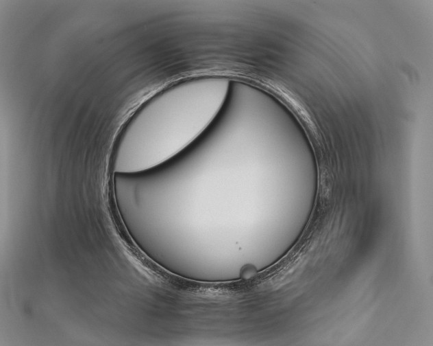 X0000112170437200908071002
