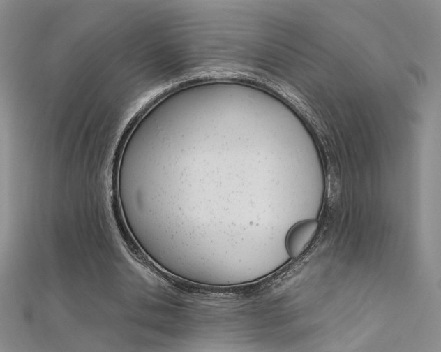 X0000112170438200908071002