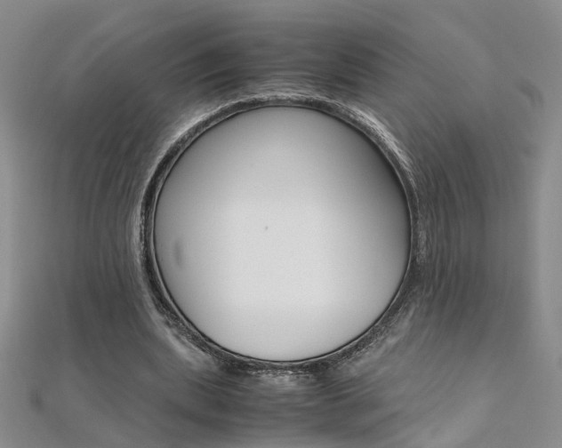 X0000112170439200908071002