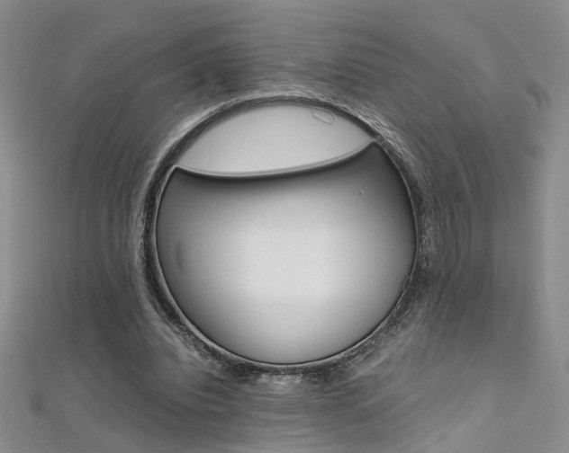 X0000112170440200908071002