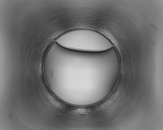 X0000112170441200908071002
