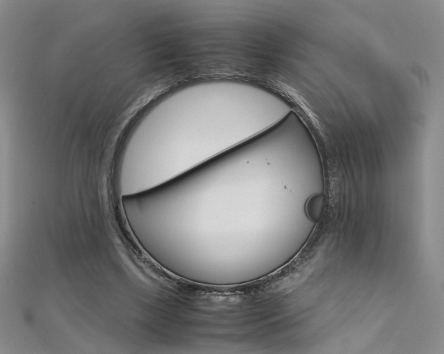 X0000112170443200908071002