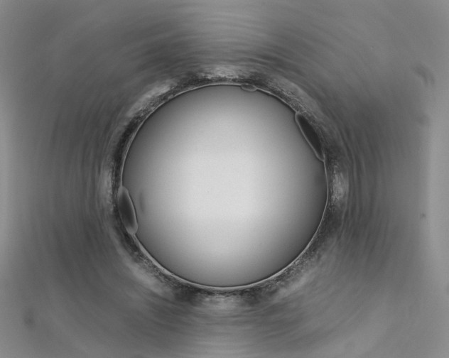 X0000112170444200908071002