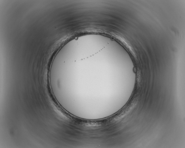 X0000112170445200908071003