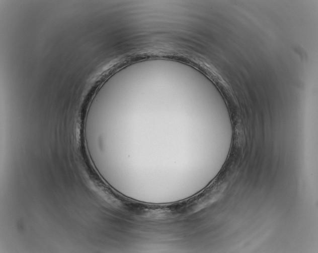 X0000112170446200908071003
