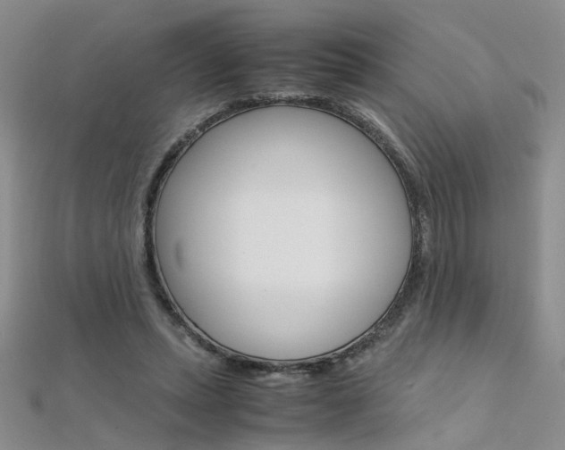 X0000112170447200908071003