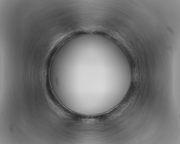 X0000112170448200908071003