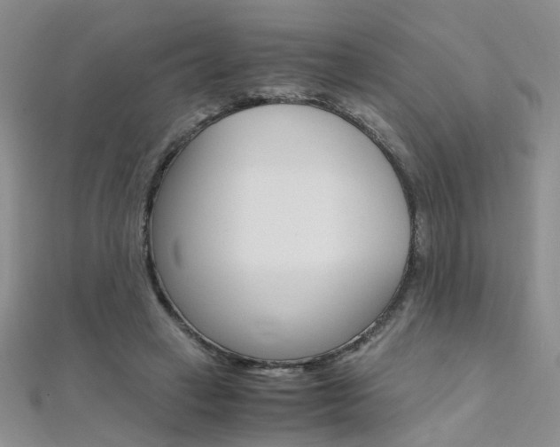 X0000112170449200908071003