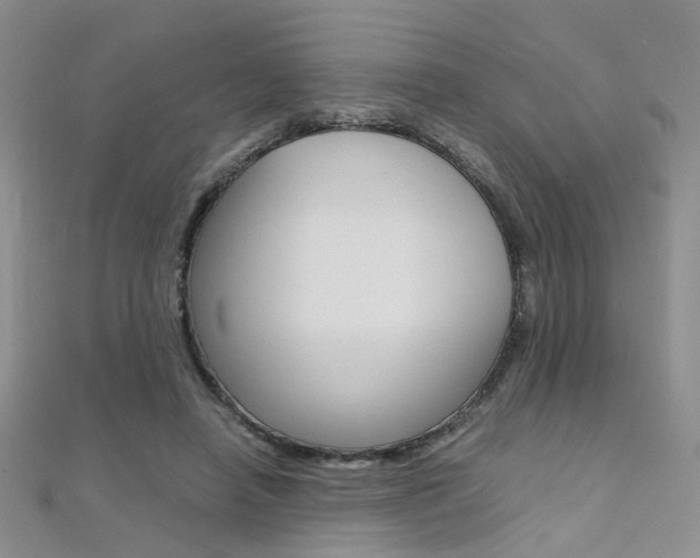 X0000112170450200908071003
