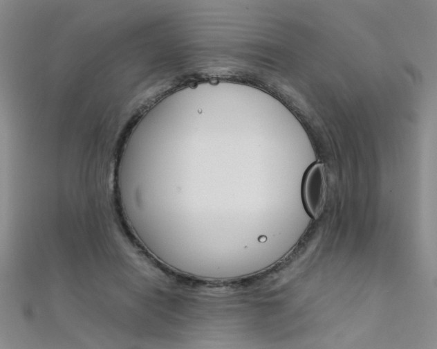 X0000112170454200908071003