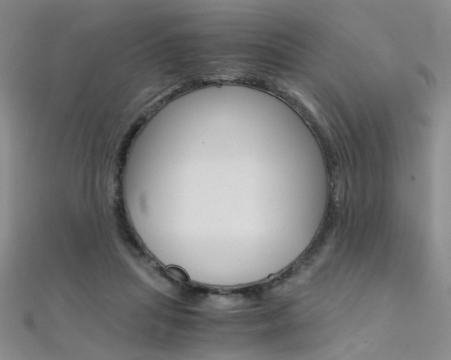 X0000112170455200908071003