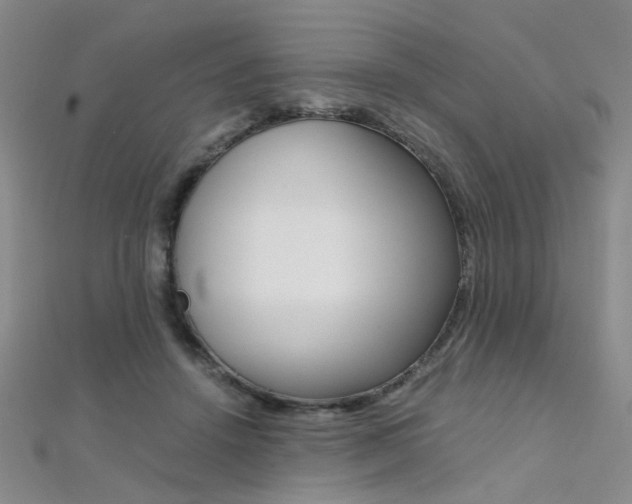 X0000112170456200908071003