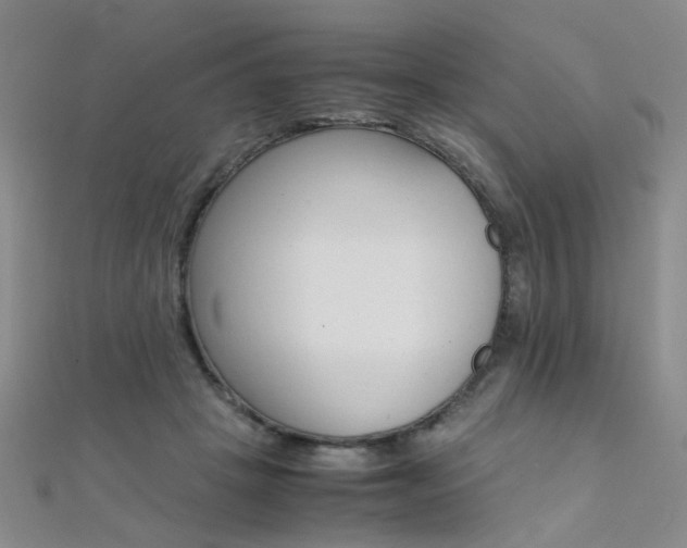 X0000112170457200908071003
