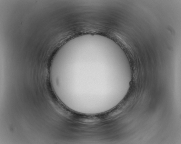 X0000112170459200908071003