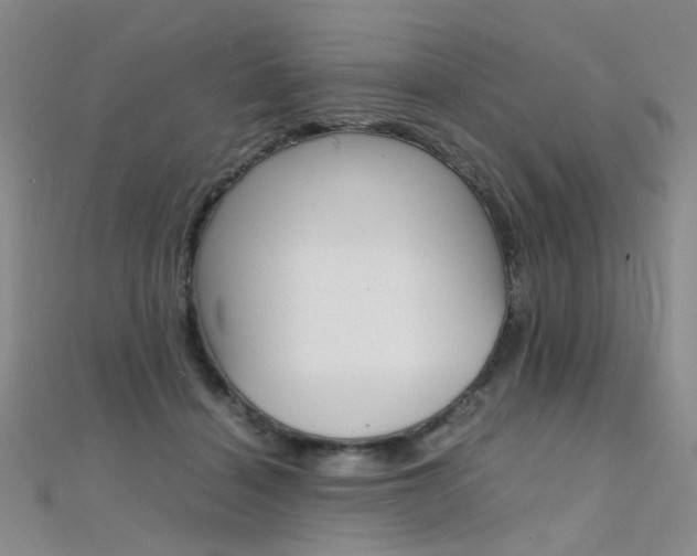 X0000112170460200908071003