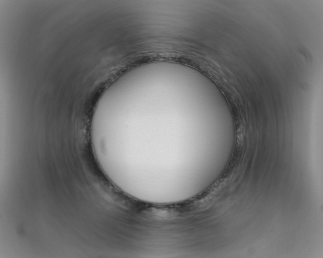 X0000112170464200908071003