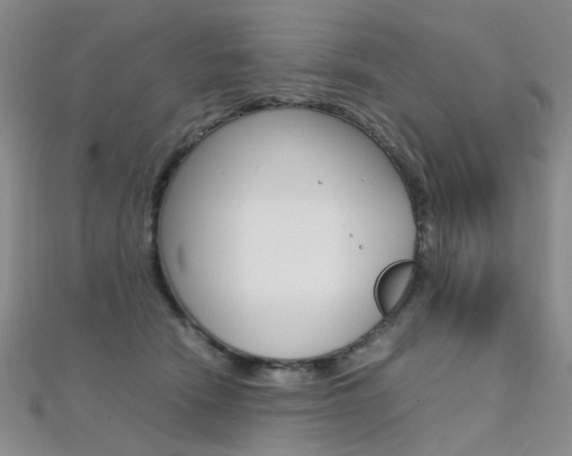 X0000112170466200908071003