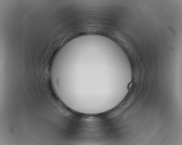 X0000112170467200908071003