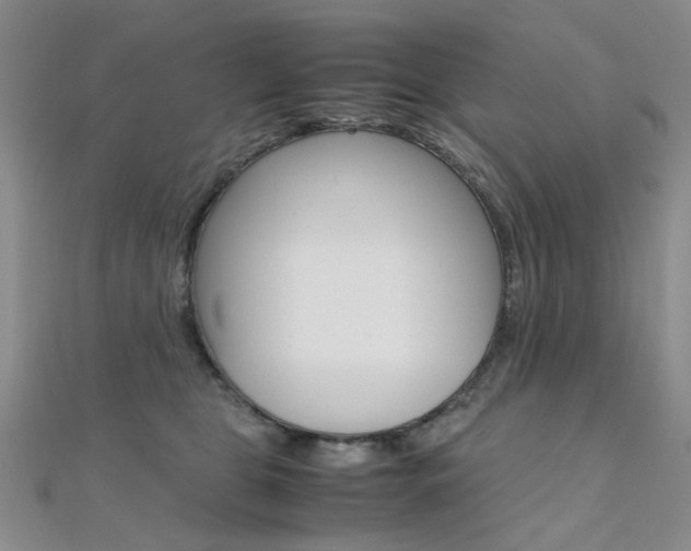 X0000112170469200908071003