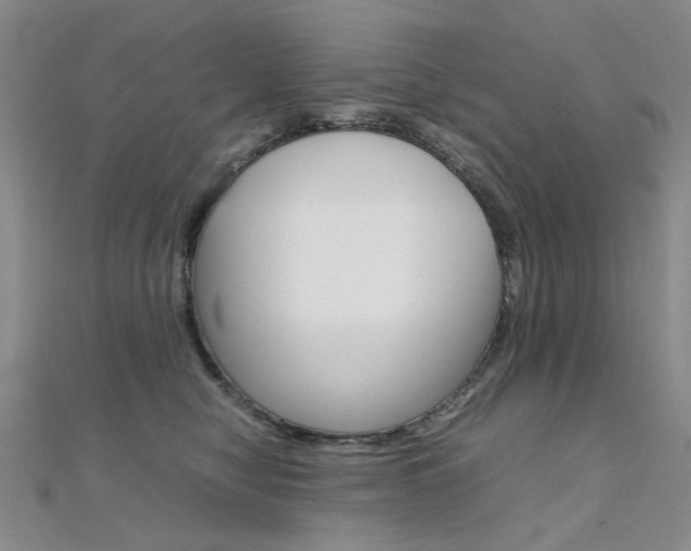 X0000112170470200908071003