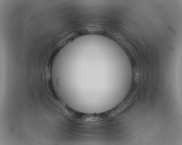 X0000112170471200908071003