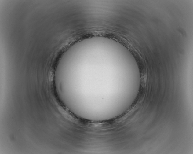 X0000112170472200908071003