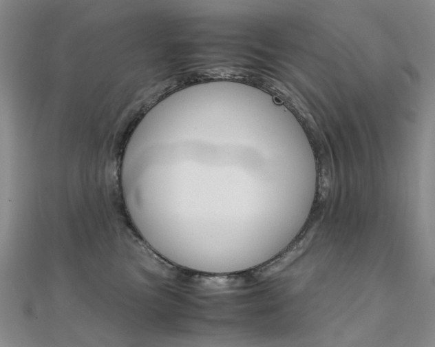 X0000112170473200908071003