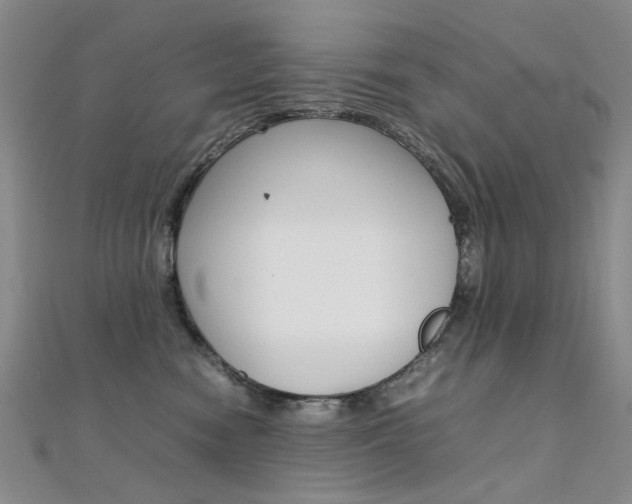X0000112170474200908071003