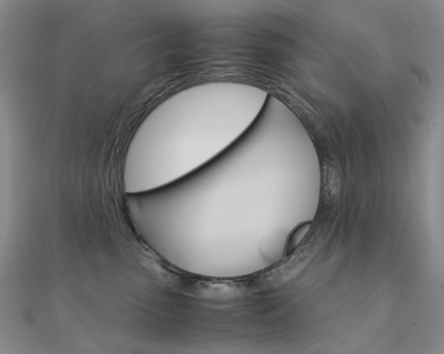 X0000112170475200908071003