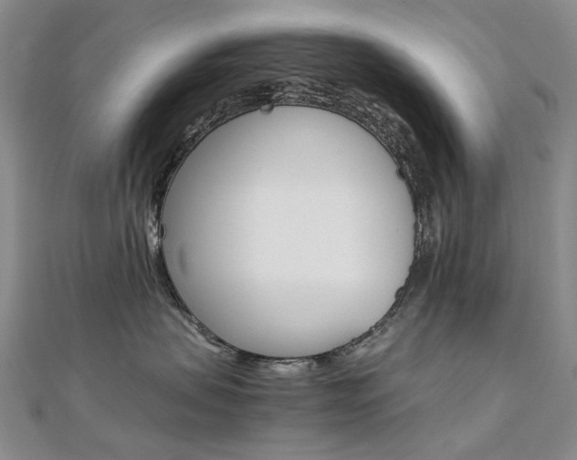 X0000112170479200908071003