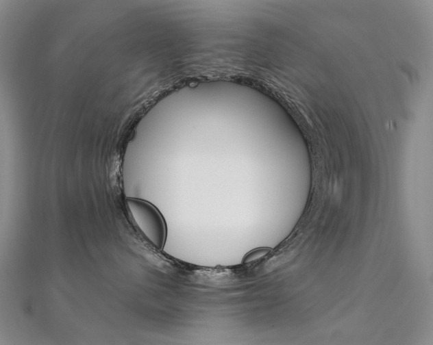 X0000112170480200908071003