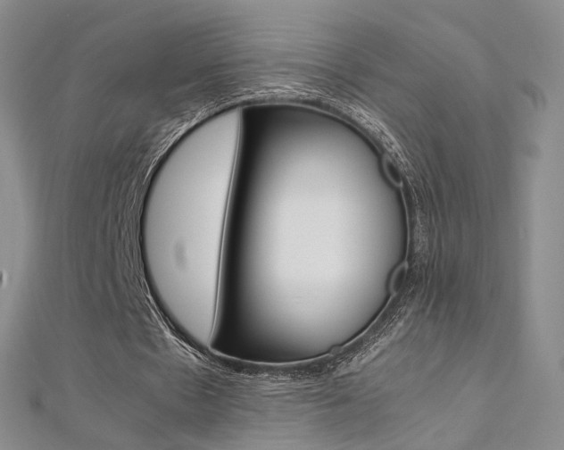 X0000112170481200908071002