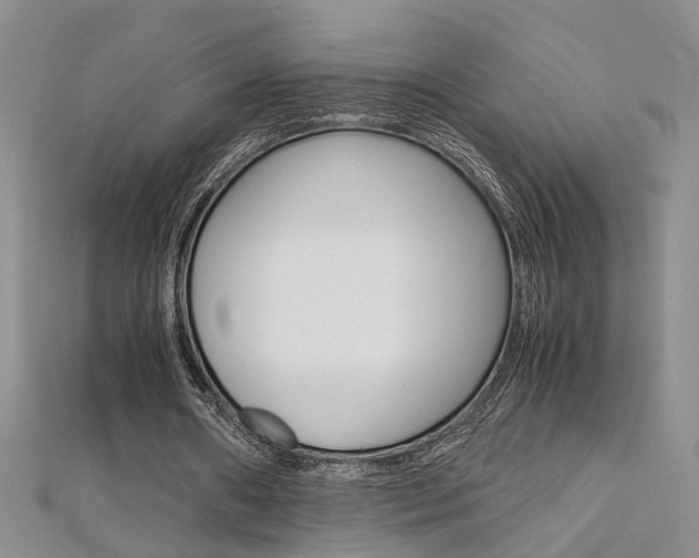 X0000112170482200908071002