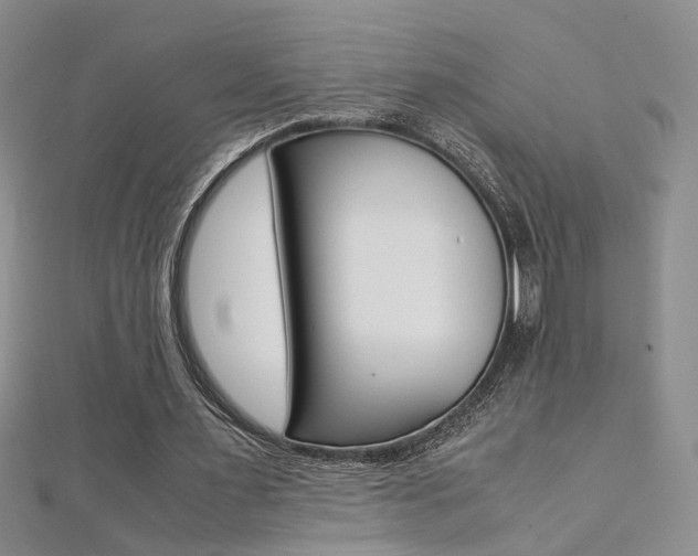 X0000112170483200908071002