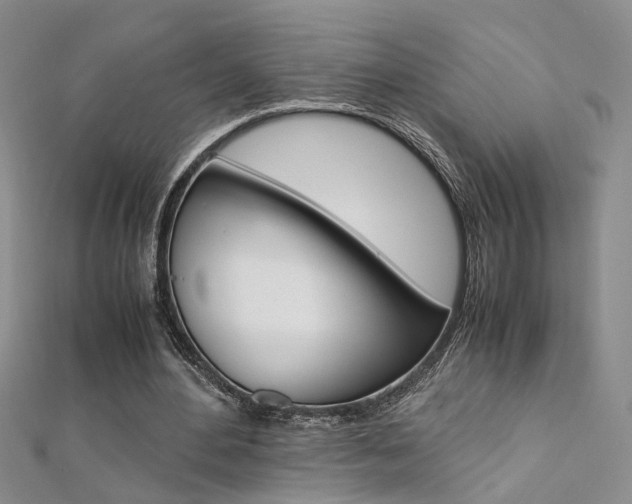 X0000112170484200908071002