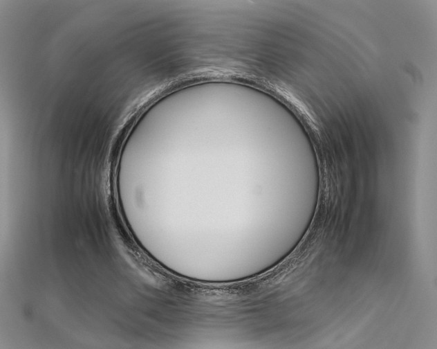 X0000112170486200908071002