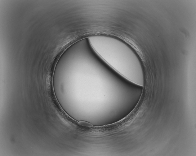 X0000112170489200908071002