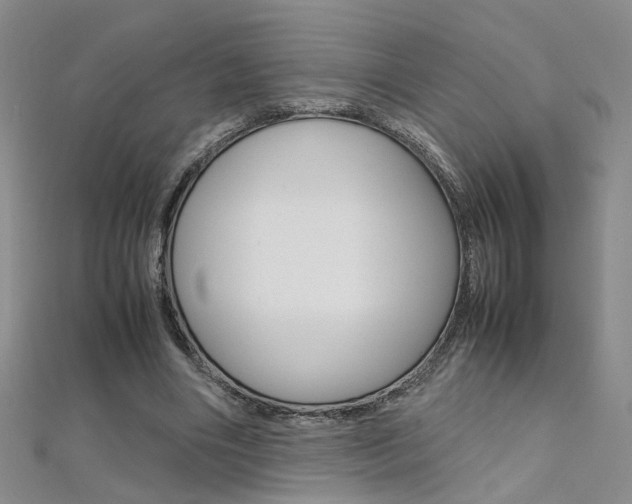 X0000112170490200908071002