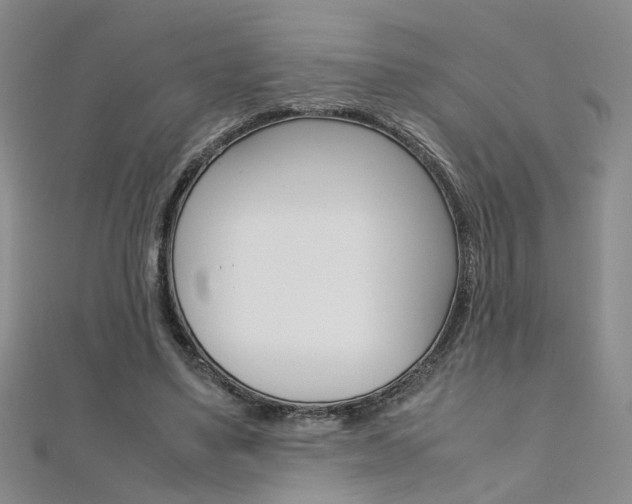 X0000112170491200908071002