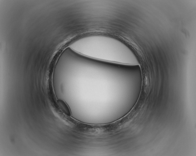 X0000112170492200908071002