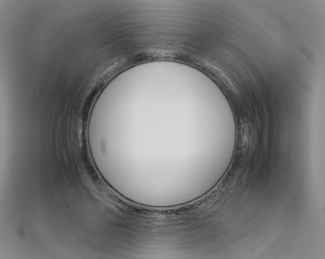 X0000112170494200908071002