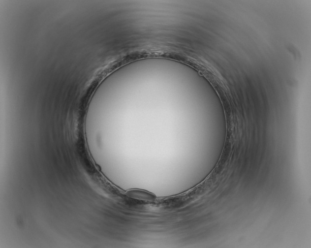 X0000112170496200908071002