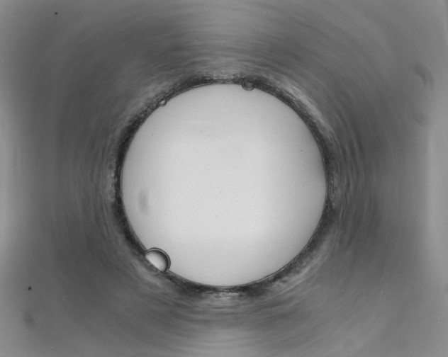 X0000112170497200908071002