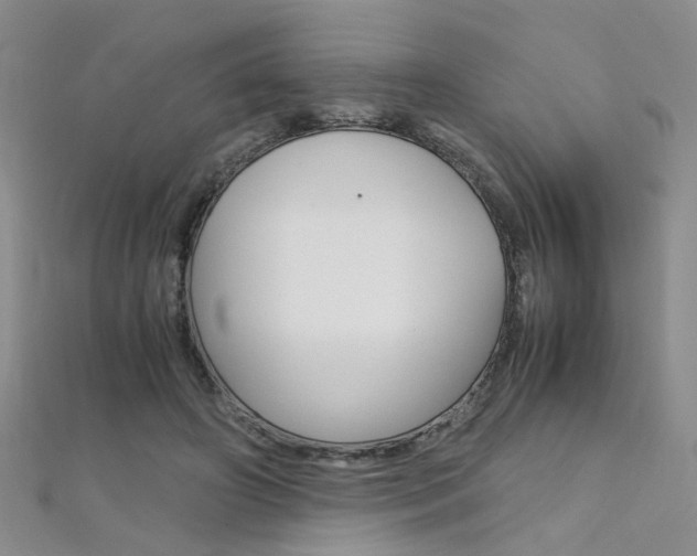X0000112170498200908071002