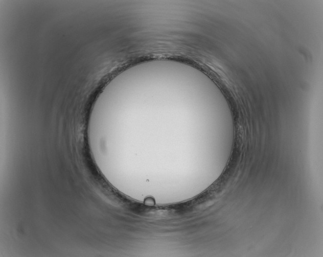 X0000112170499200908071002